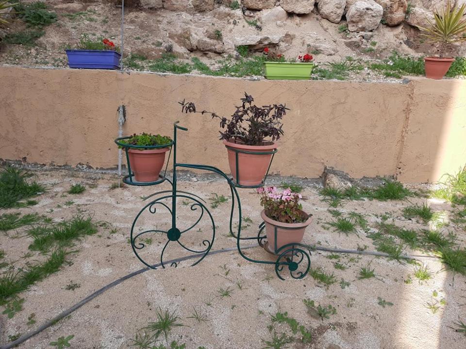 Ferienwohnung Emile Altwal Madaba Exterior foto