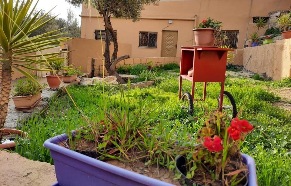 Ferienwohnung Emile Altwal Madaba Exterior foto